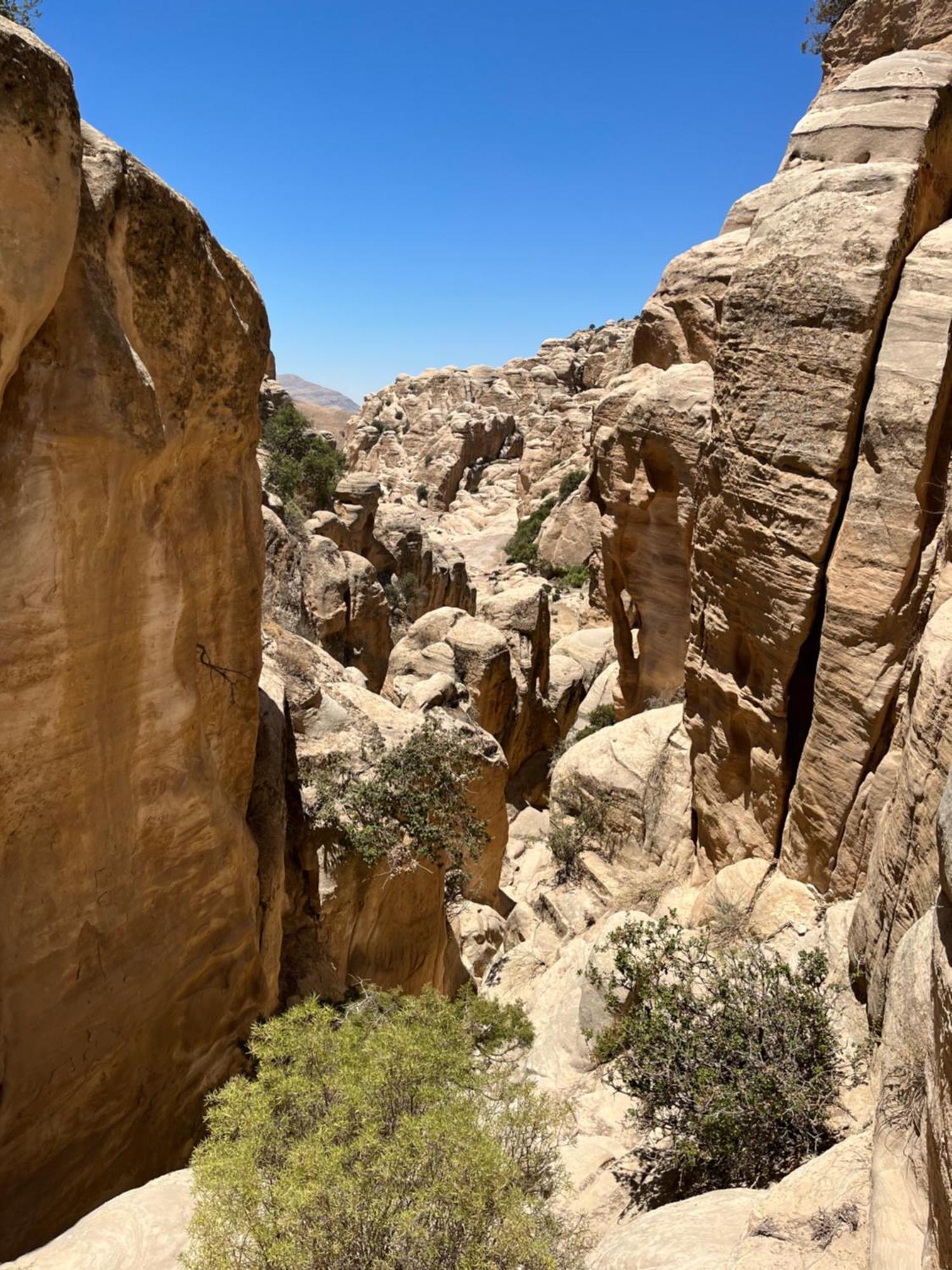 Al-Nawatef Eco Camp- Dana Nature Reserve Exterior photo